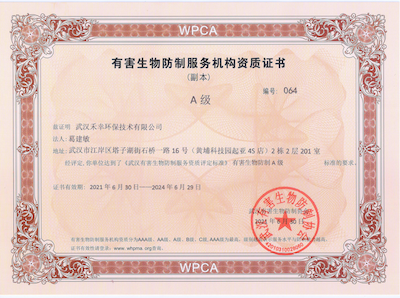 图片11.png